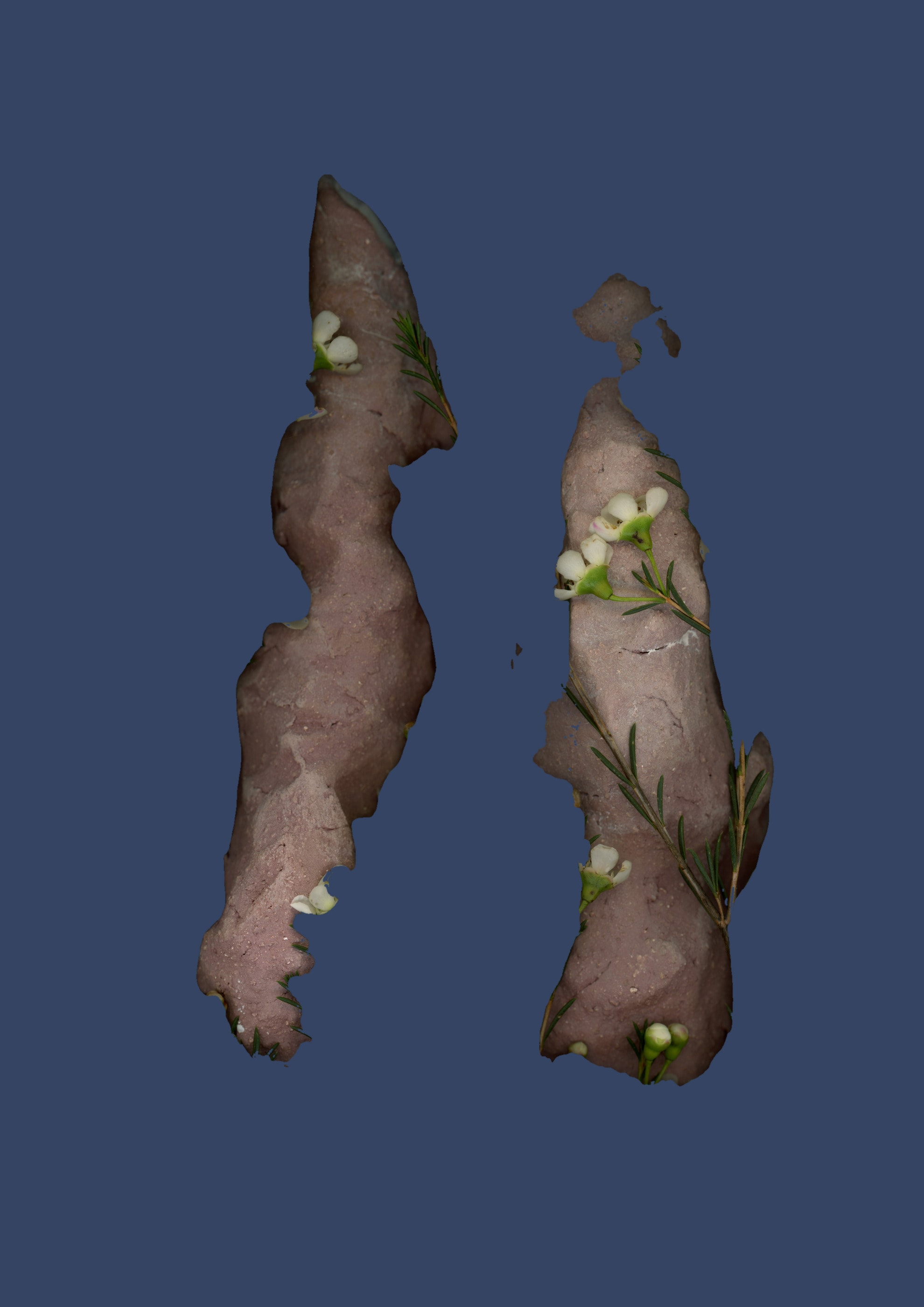 Vases