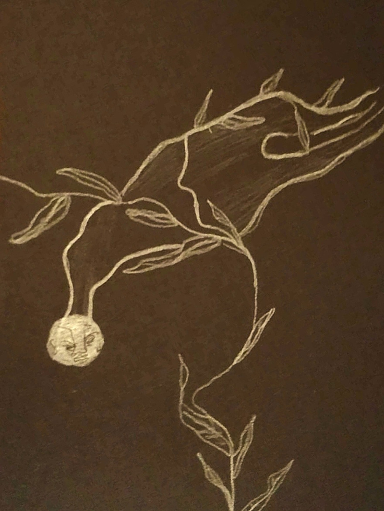 Drawings