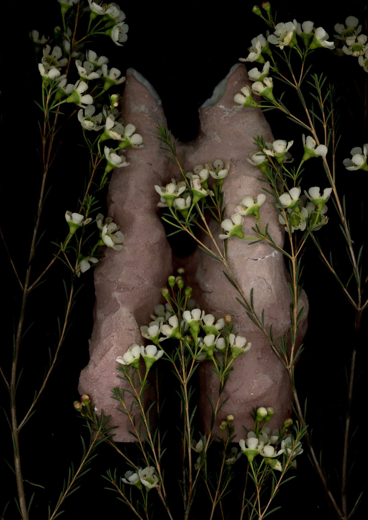 Vases